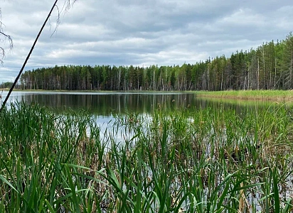 Тур в Карабаш. Храм Иоанна Златоуста. 
