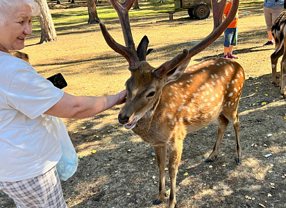 Вкусный тур к Пятнистым оленям с фермерским шашлыком.